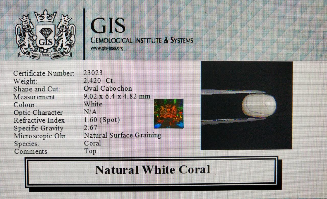 WC346 4 White Coral 2.42 Ct.