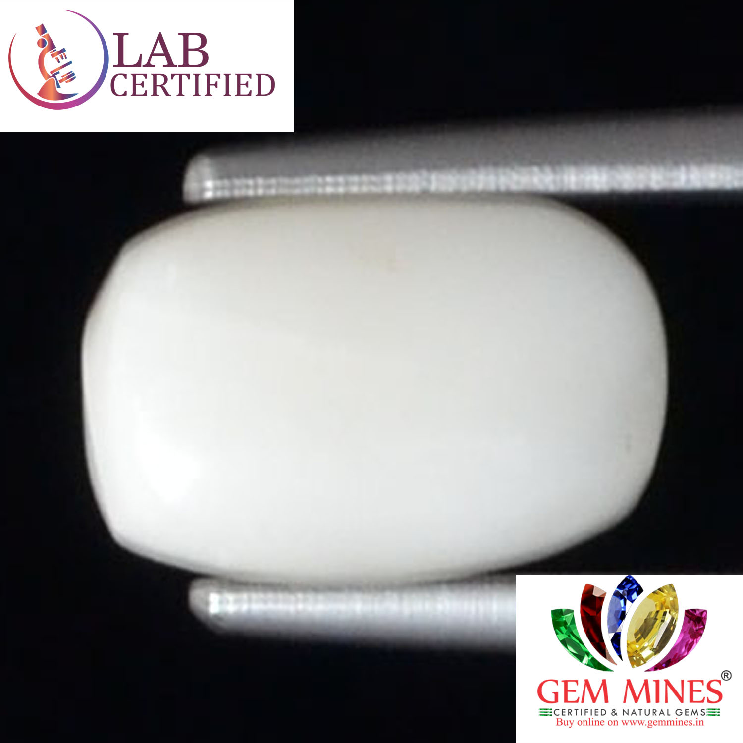 WC348 2 White Coral 2.62 Ct.