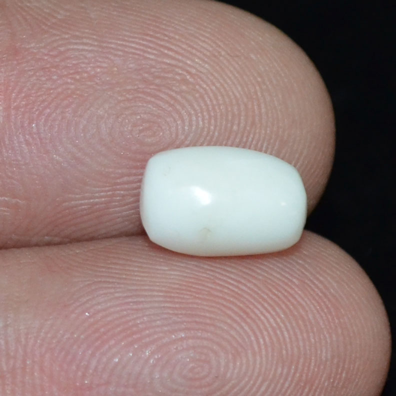 WC348 3 White Coral 2.62 Ct.