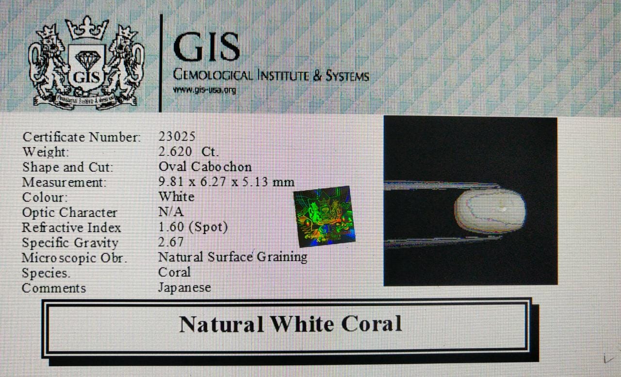 WC348 4 White Coral 2.62 Ct.
