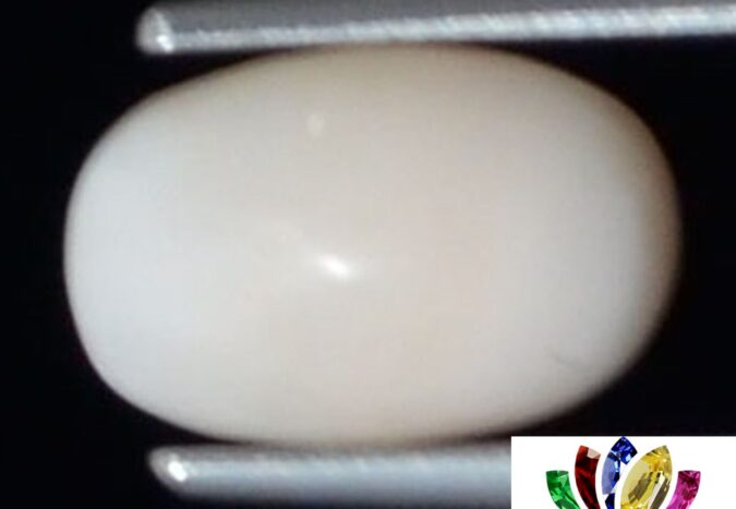 WC349 1 e1680754558520 White Coral 1.84 Ct.