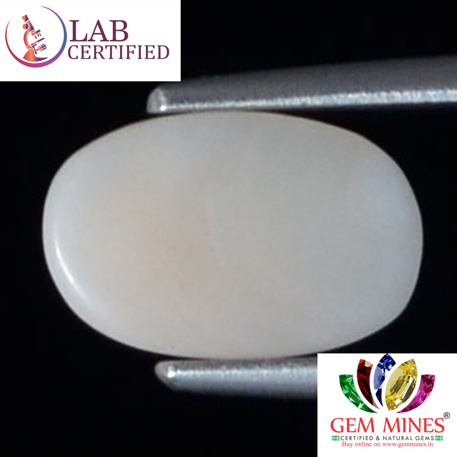 WC349 2 White Coral 1.84 Ct.