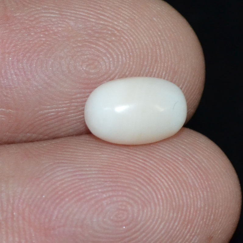 WC349 3 White Coral 1.84 Ct.