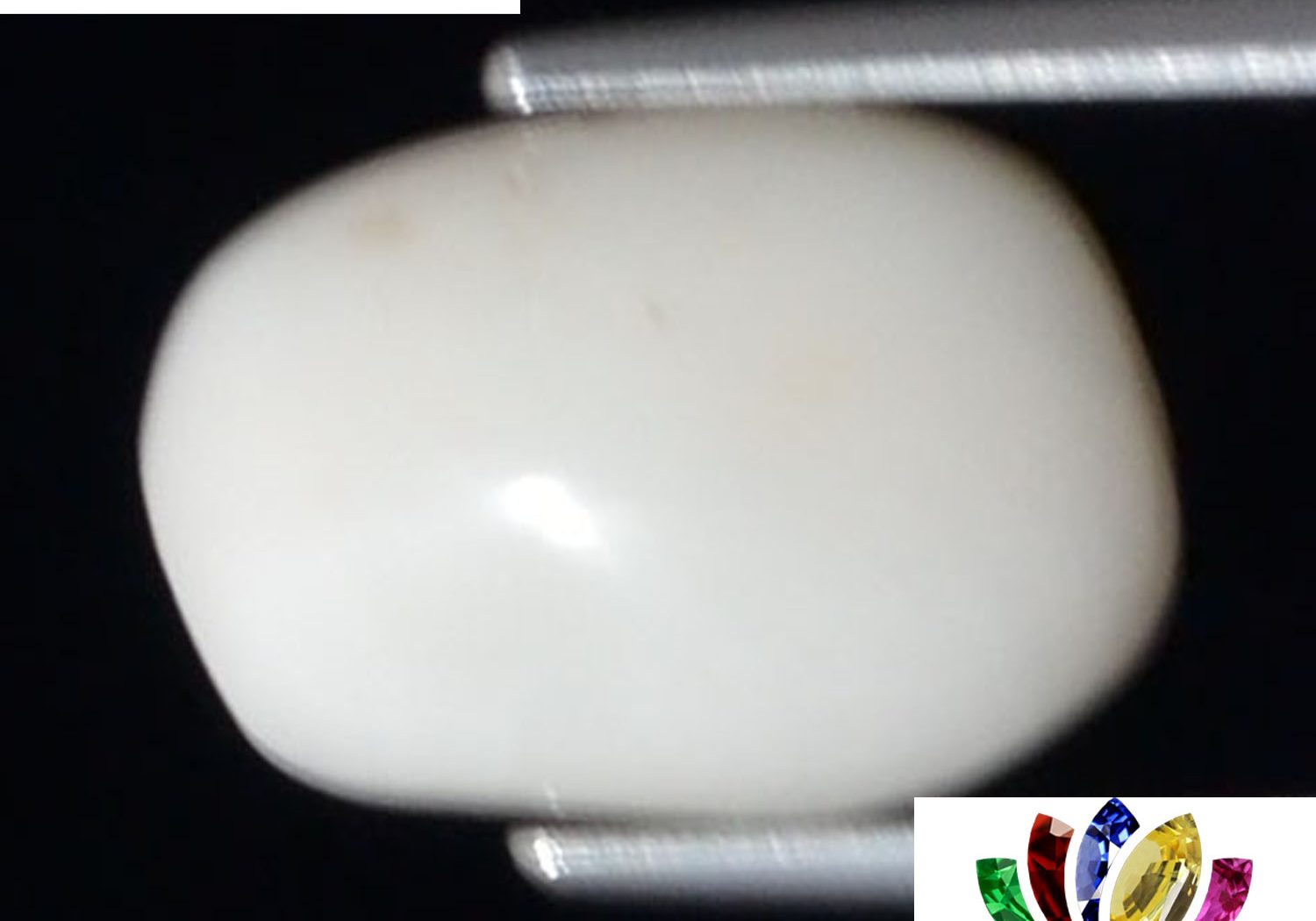 White Coral 5.24 Ct.
