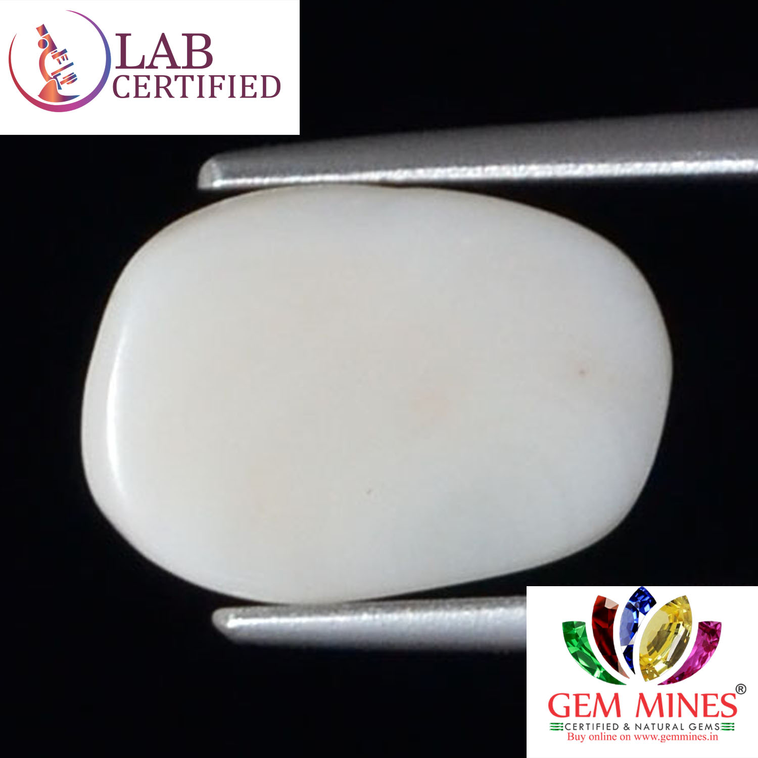 WC350 2 White Coral 5.24 Ct.