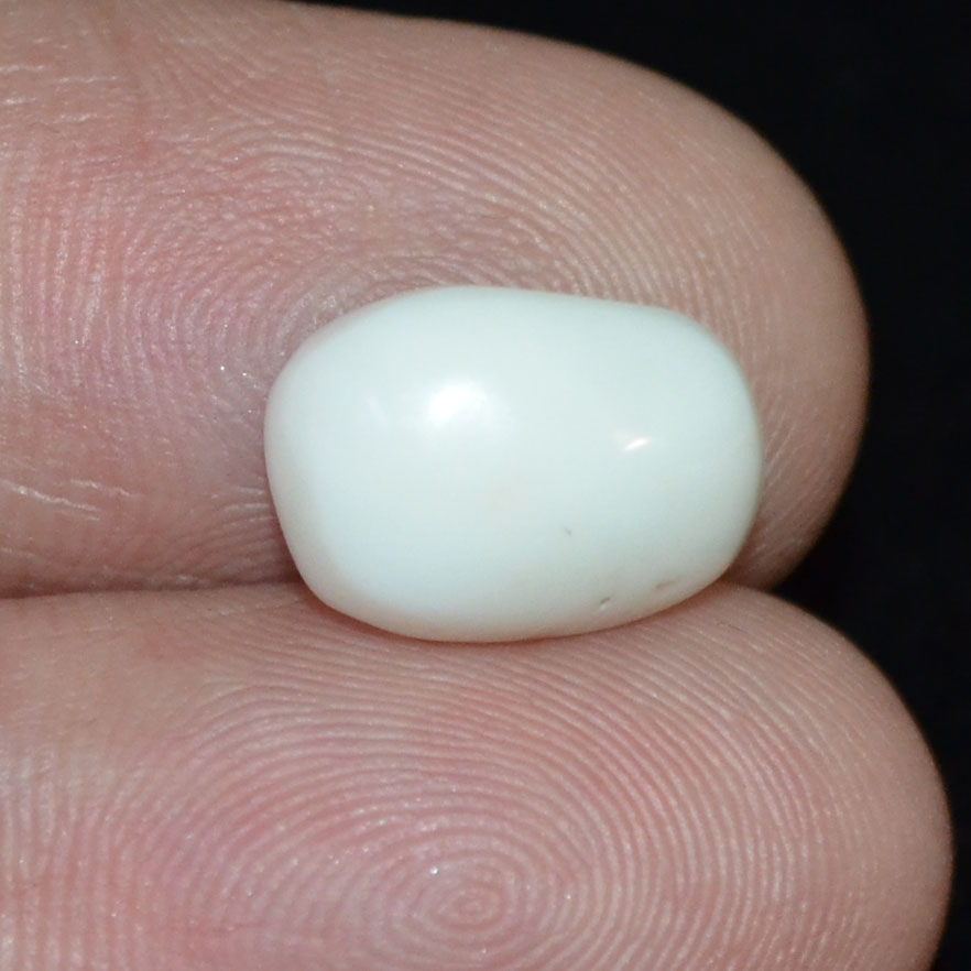WC350 3 White Coral 5.24 Ct.