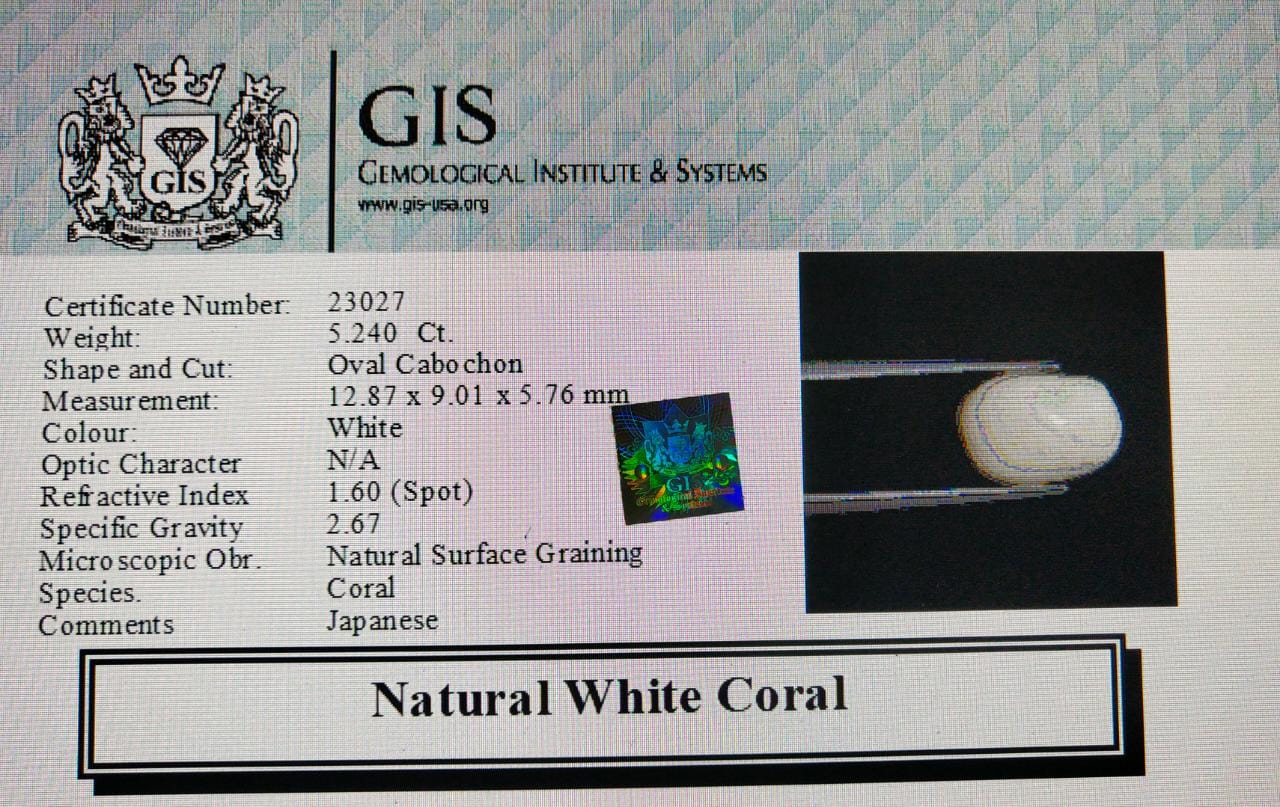 WC350 4 White Coral 5.24 Ct.