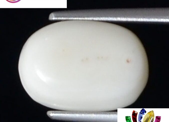 WC353 1 e1680754853530 White Coral 3.16 Ct.