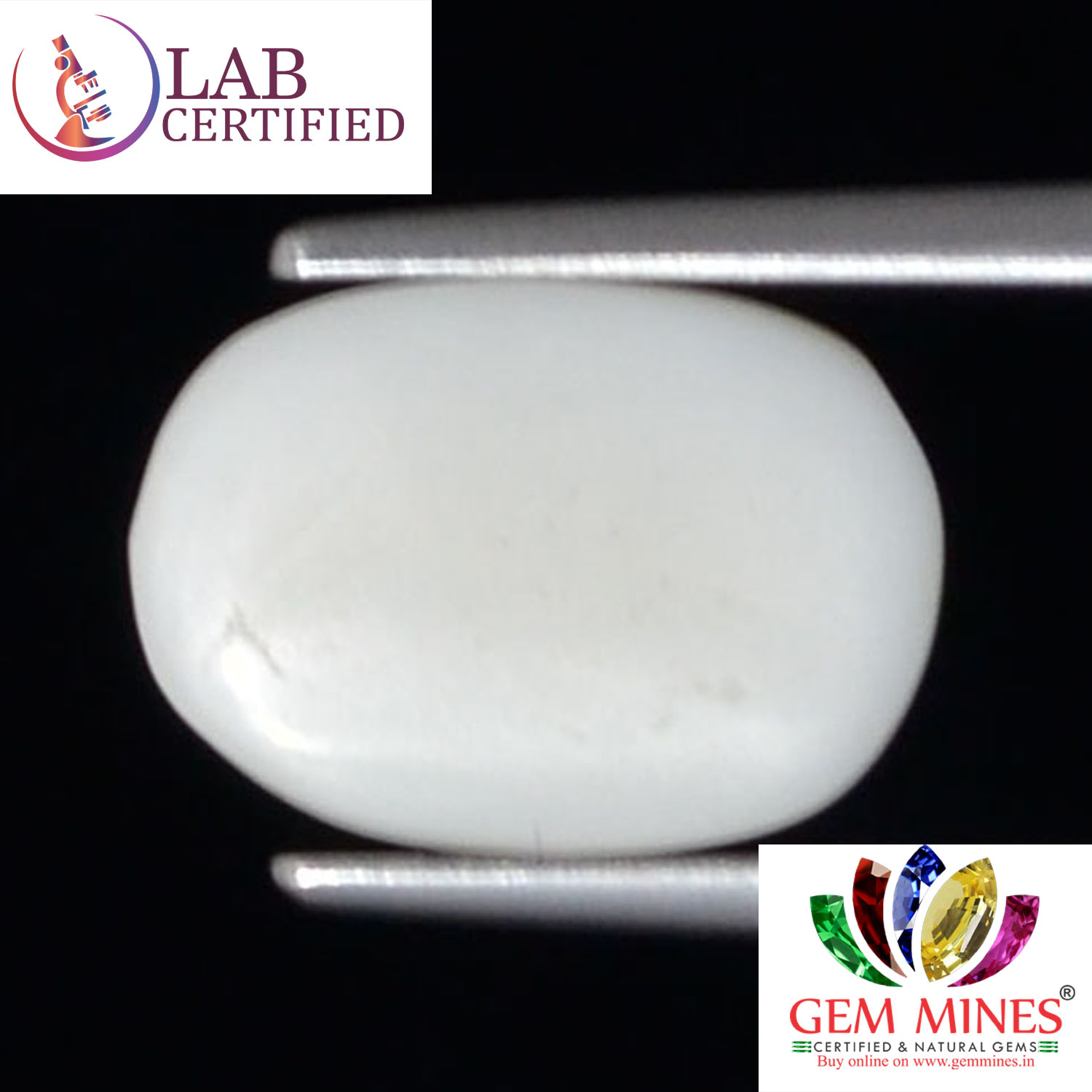 WC353 2 White Coral 3.16 Ct.