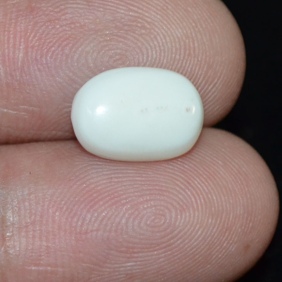 WC353 3 White Coral 3.16 Ct.