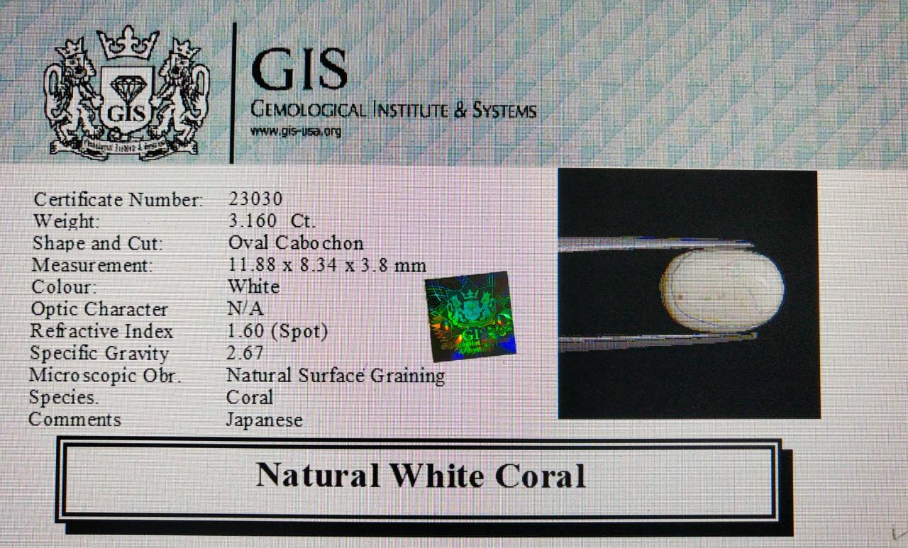 WC353 4 White Coral 3.16 Ct.