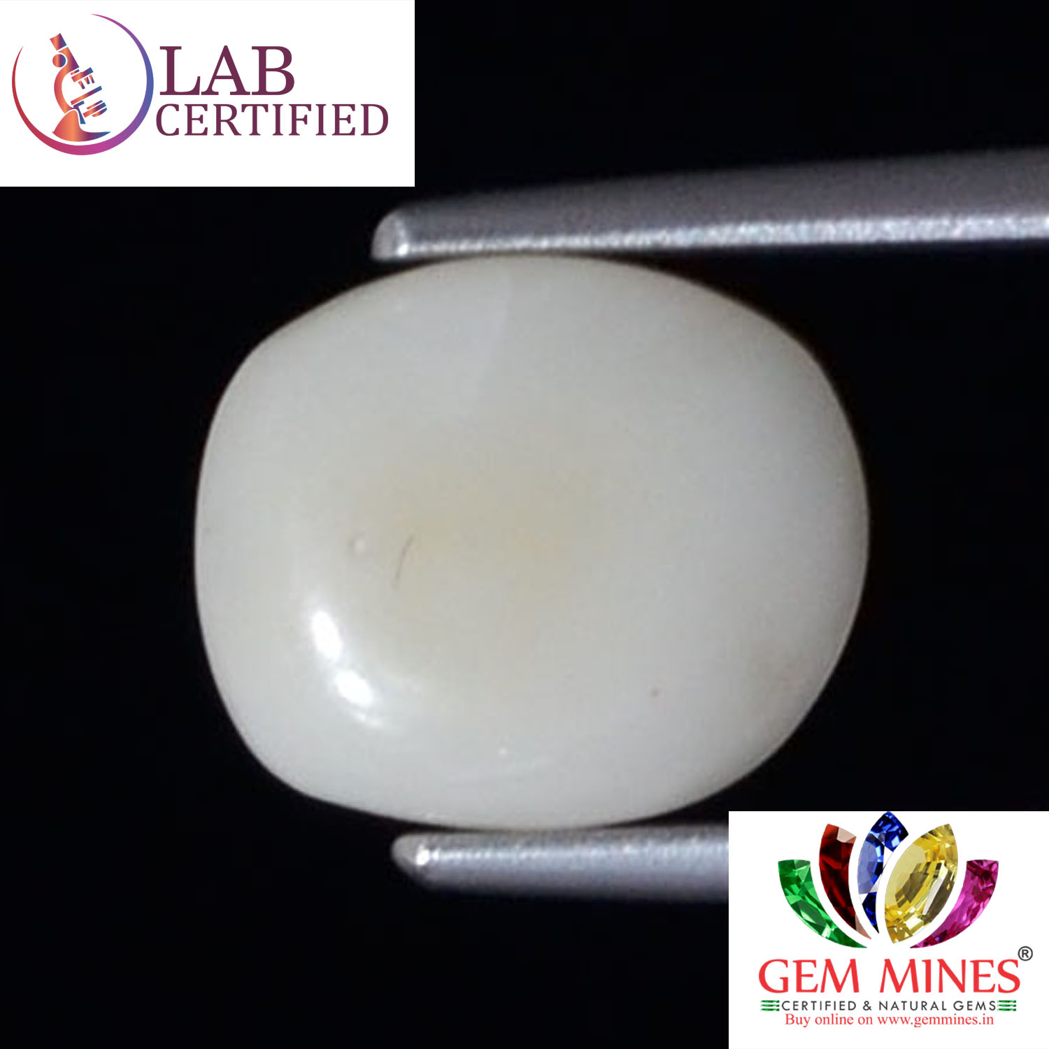 WC354 2 White Coral 2.84 Ct.