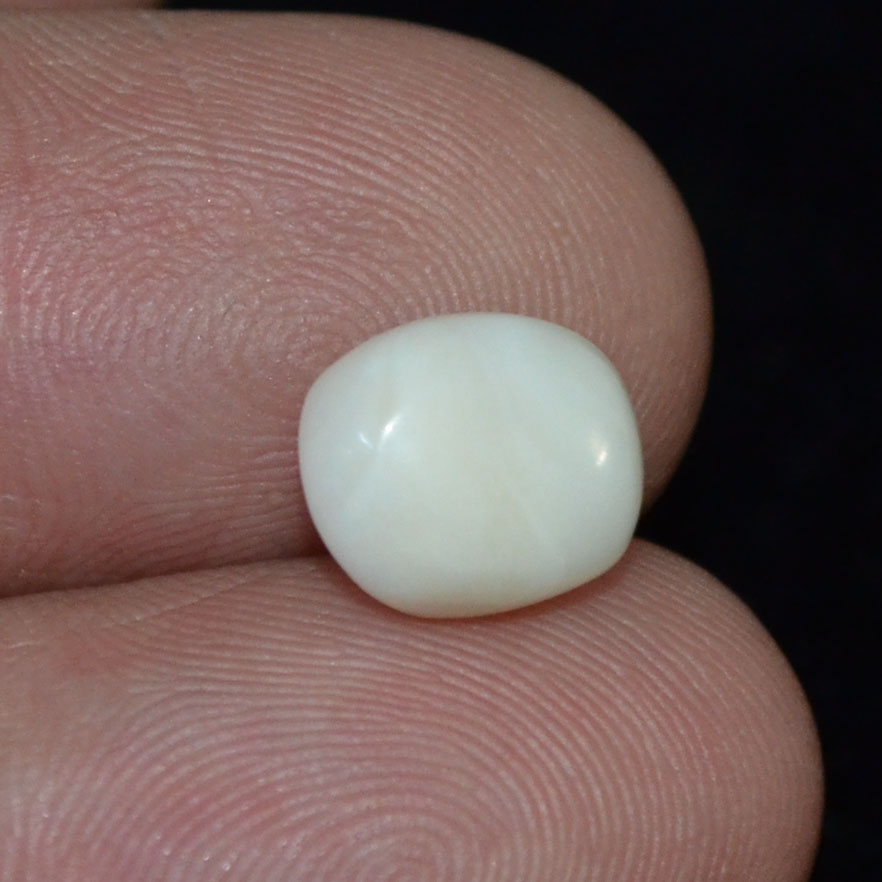 WC354 3 White Coral 2.84 Ct.