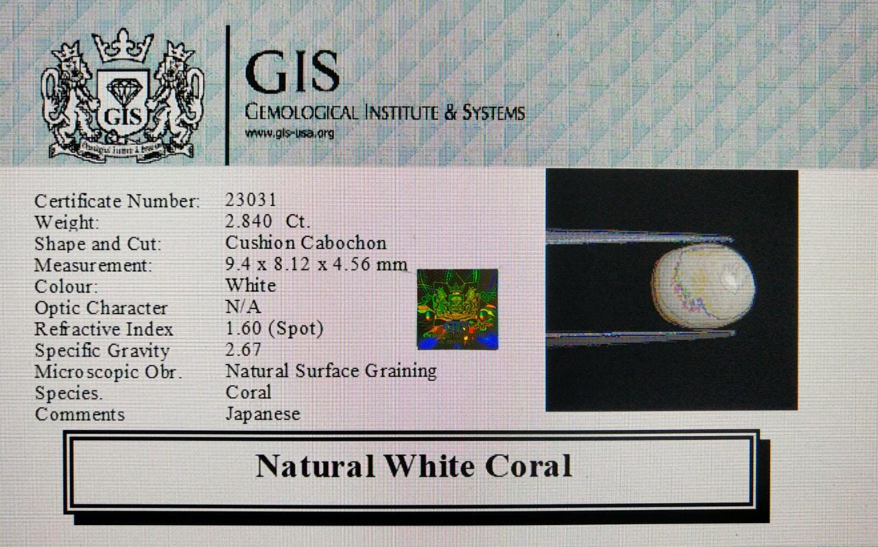 WC354 4 White Coral 2.84 Ct.