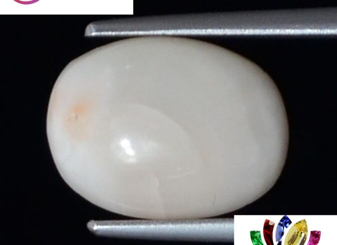 WC356 1 e1680754858784 White Coral 3.66 Ct.