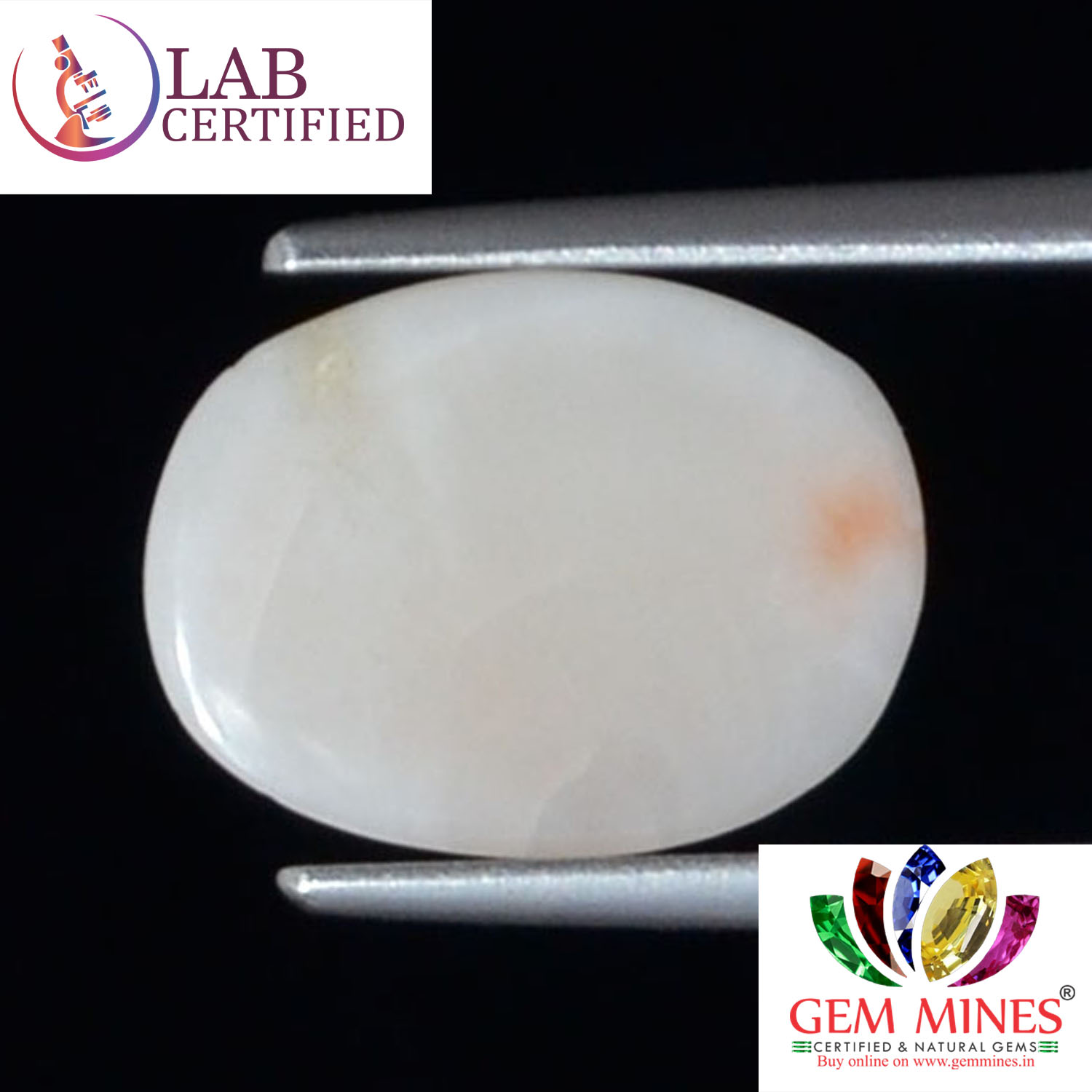 WC356 2 White Coral 3.66 Ct.