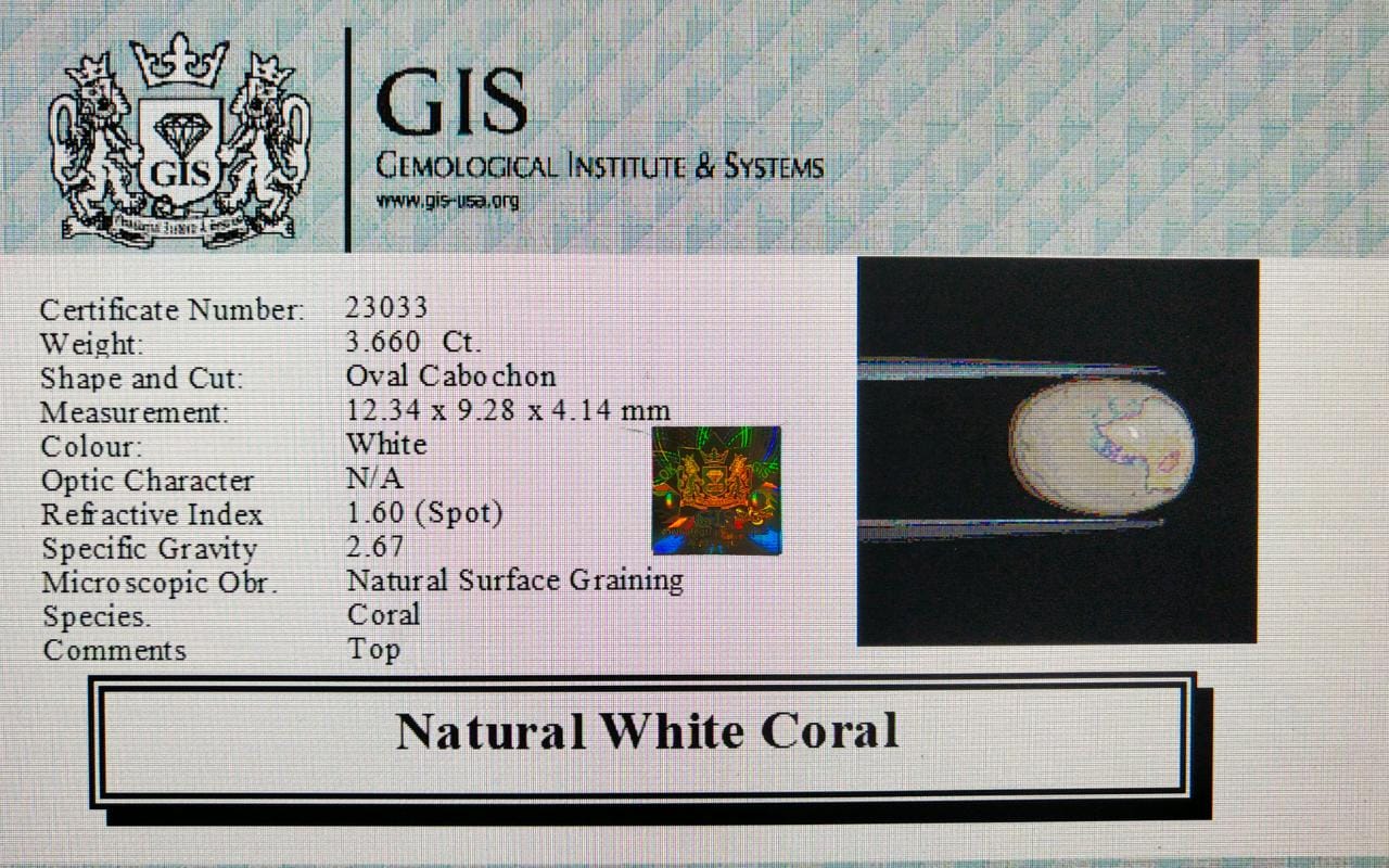 WC356 4 White Coral 3.66 Ct.
