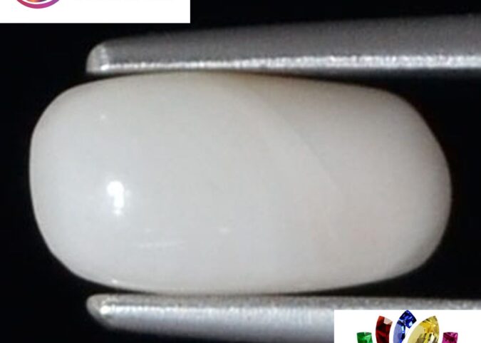 WC358 1 e1680755308186 White Coral 1.5 Ct.