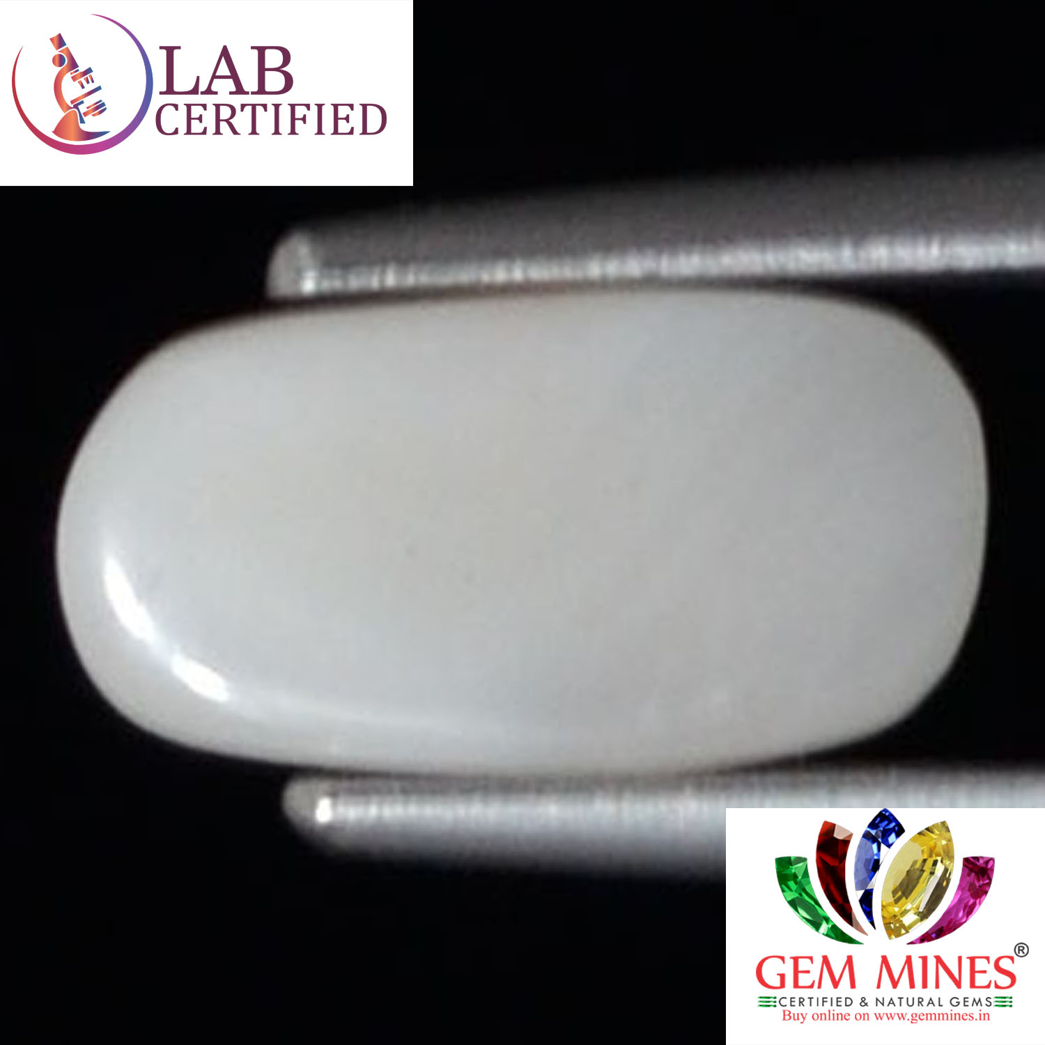 WC358 2 White Coral 1.5 Ct.