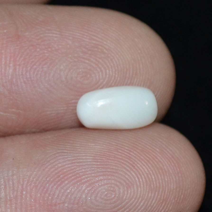 WC358 3 White Coral 1.5 Ct.