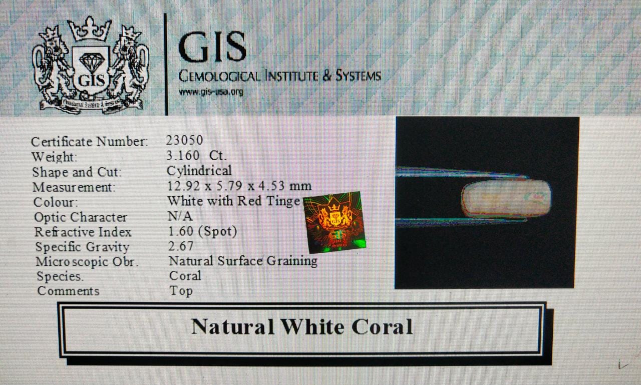 White Coral 3.16 Ct.