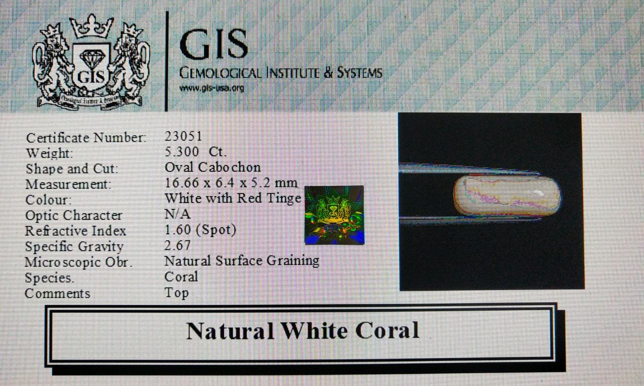 White Coral 5.3 Ct.