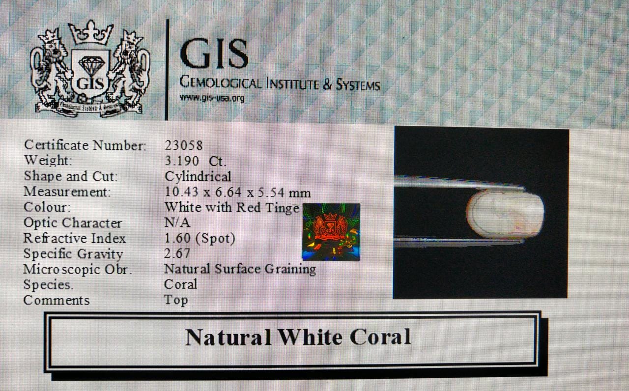 White Coral 3.19 Ct.