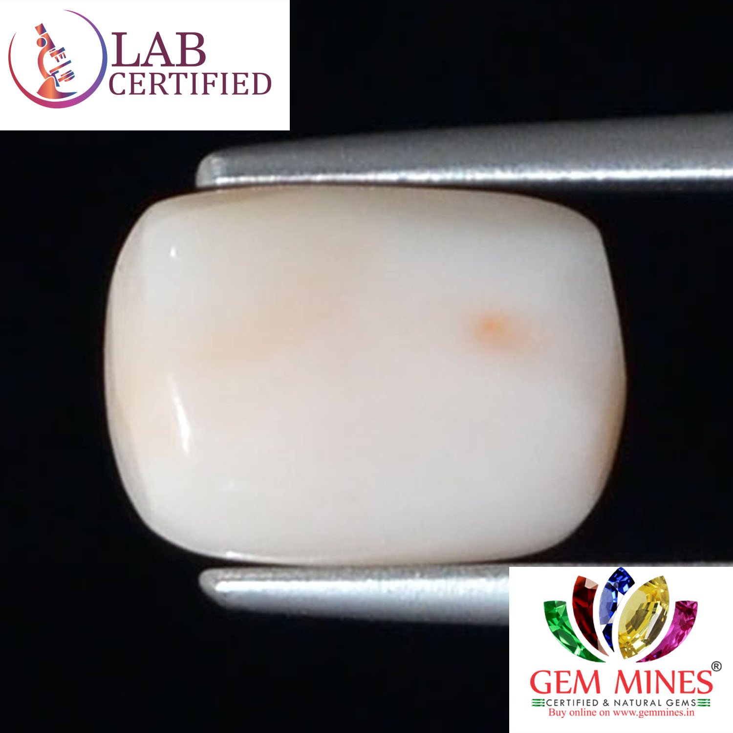 White Coral 3.98 Ct.