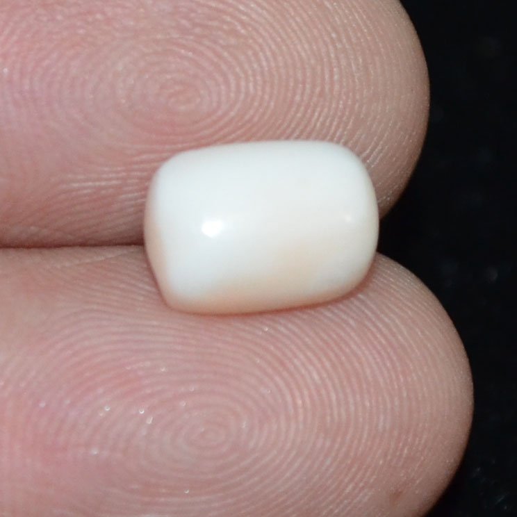 White Coral 3.98 Ct.