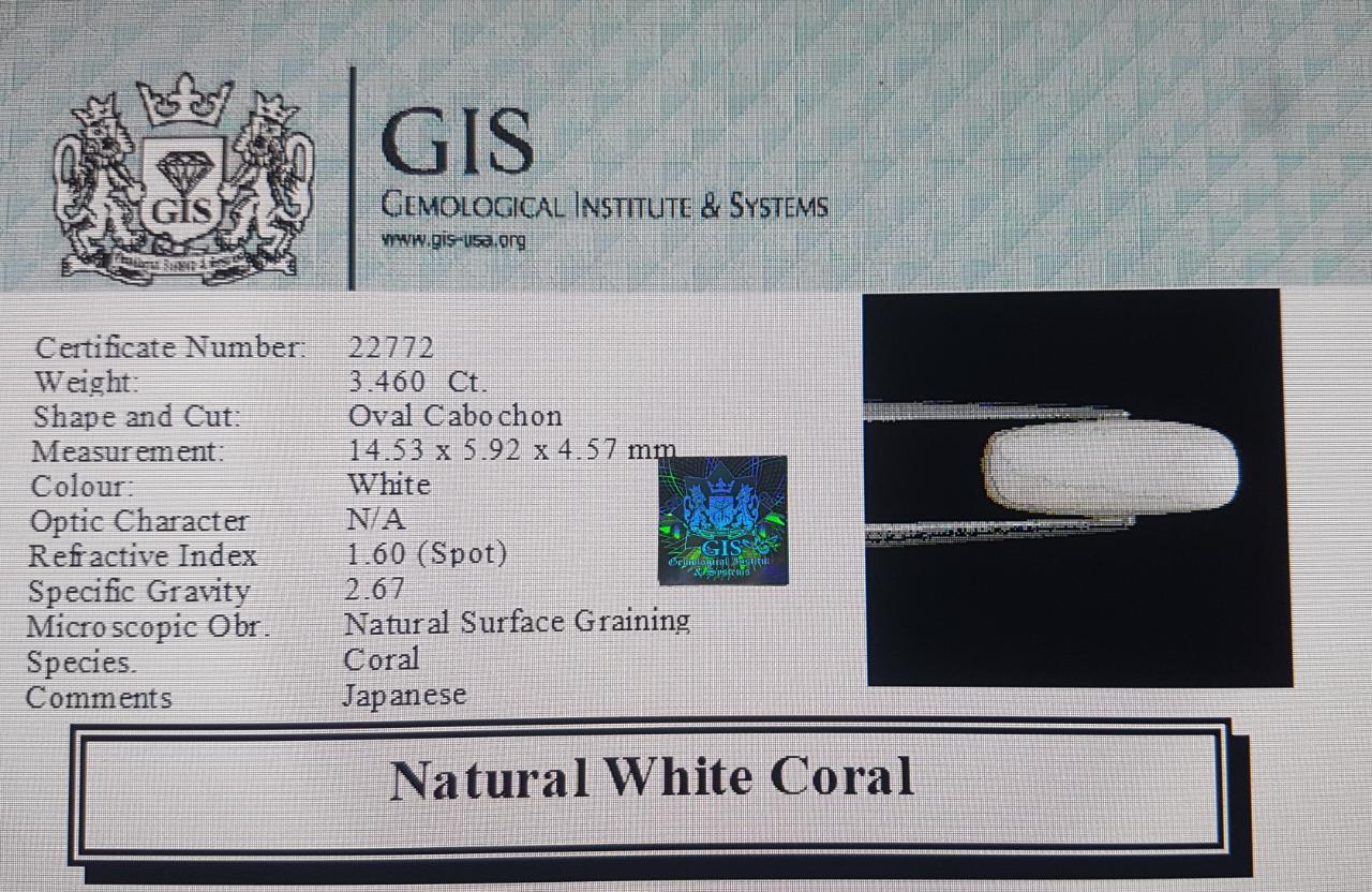 White Coral 3.46 Ct.