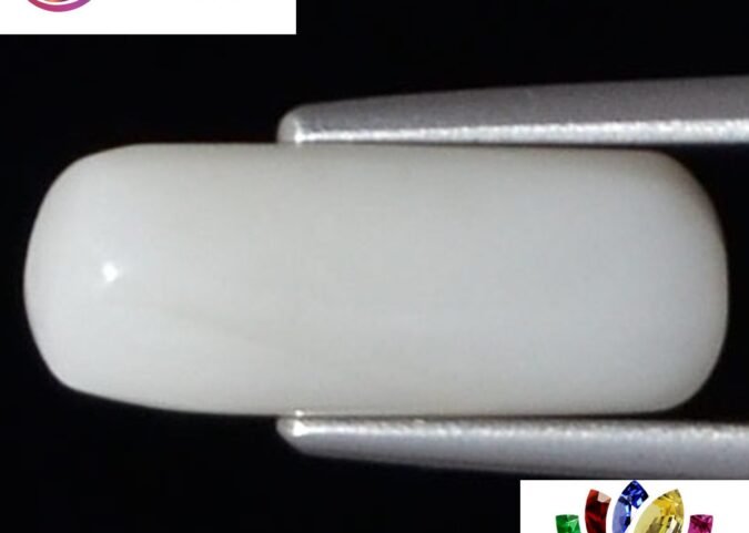 WC96 1 e1680678557310 White Coral 3.6 Ct.