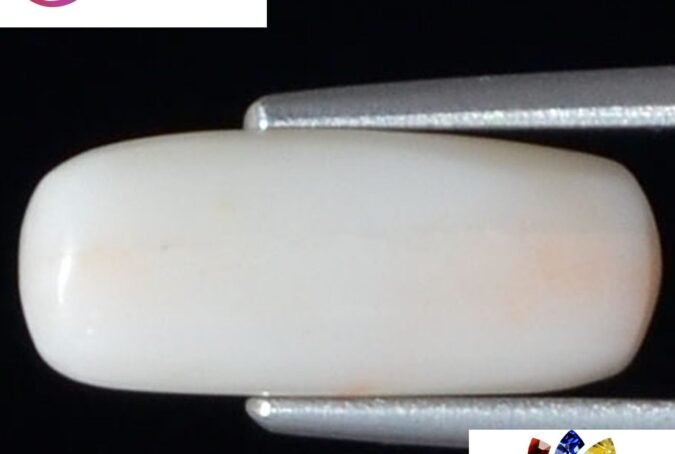 WC97 1 e1680678568881 White Coral 3.8 Ct.