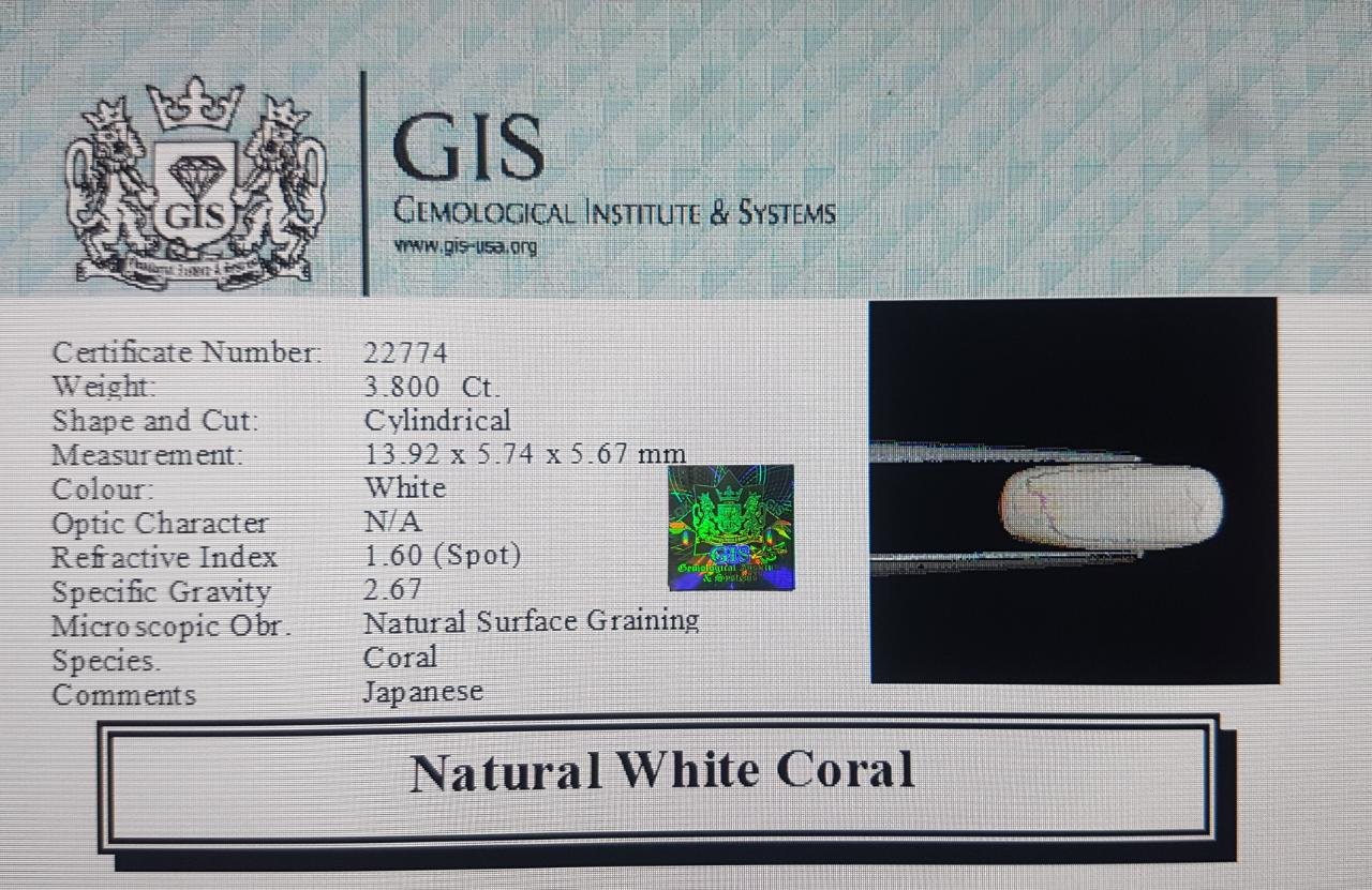 WC97 4 White Coral 3.8 Ct.