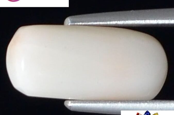 WC98 1 e1680678562473 White Coral 2.68 Ct.