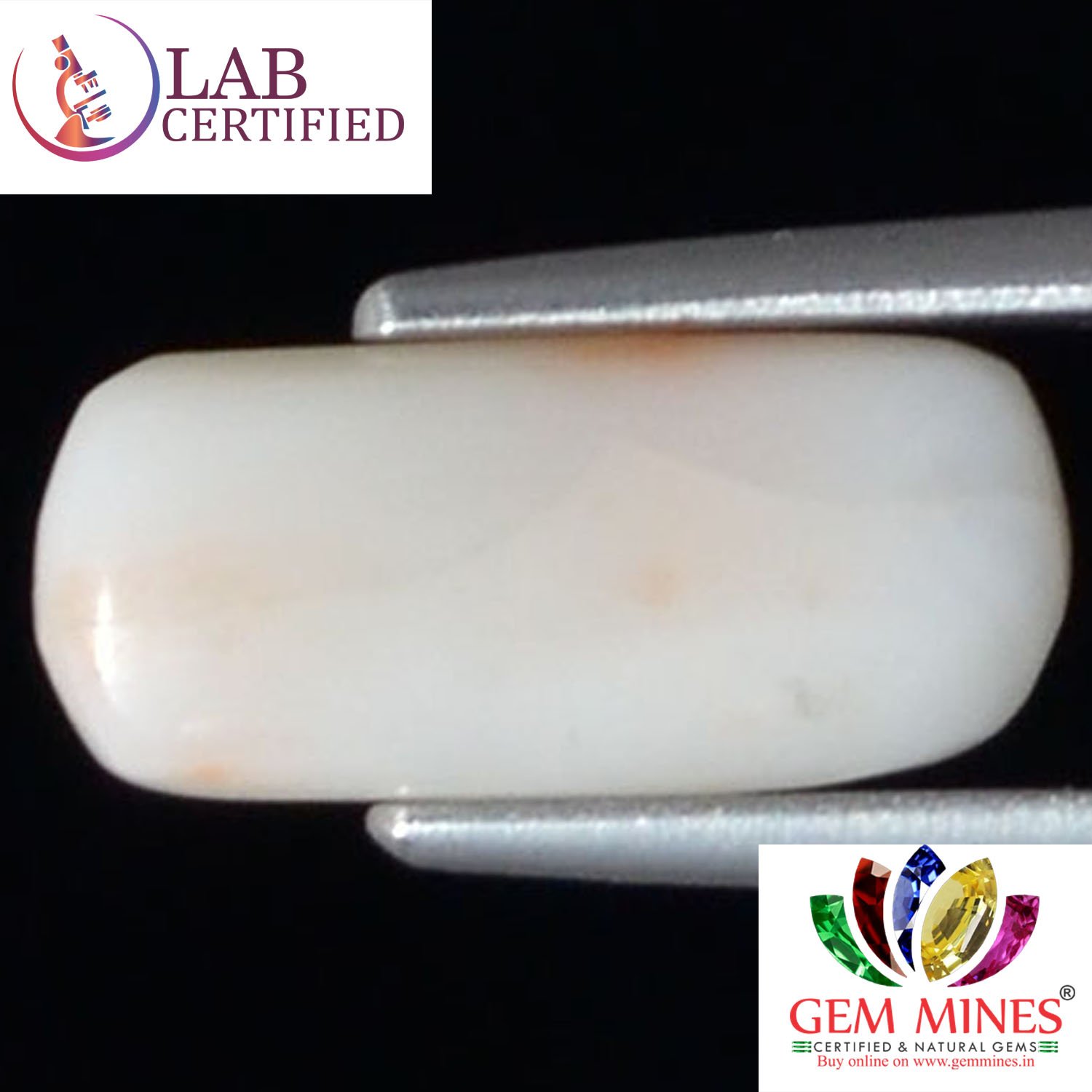 WC98 2 White Coral 2.68 Ct.