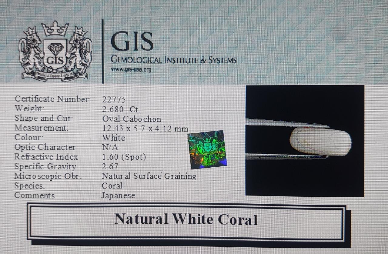 WC98 4 White Coral 2.68 Ct.