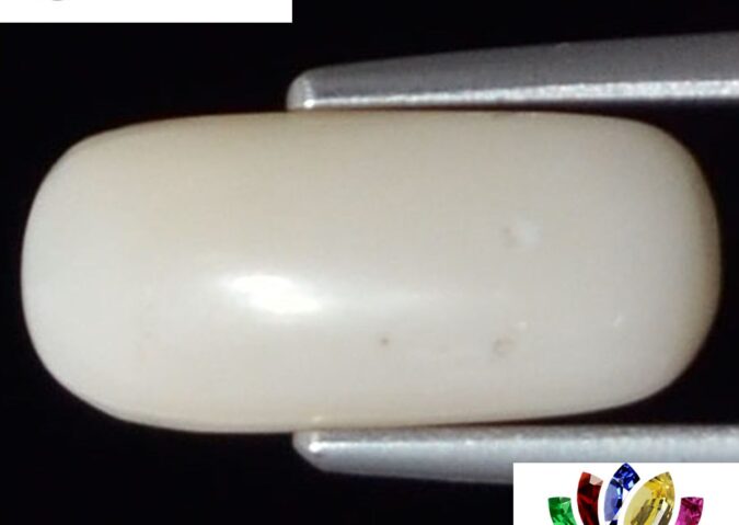 WC99 1 e1680678560742 White Coral 3.61 Ct.
