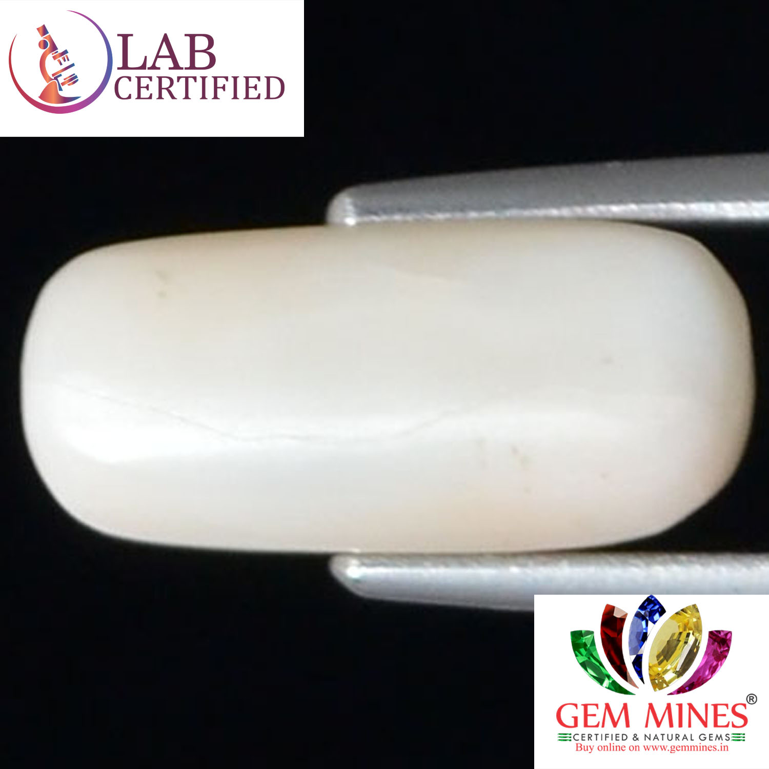 WC99 2 White Coral 3.61 Ct.