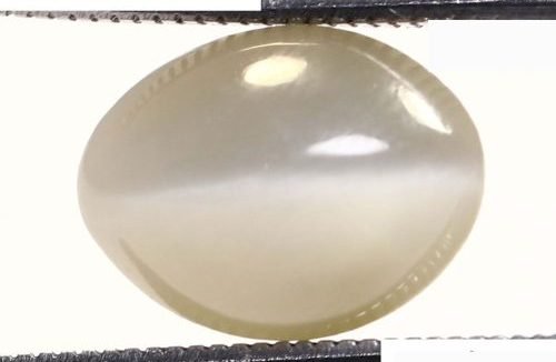 Cat's Eye 4.81 Ct.