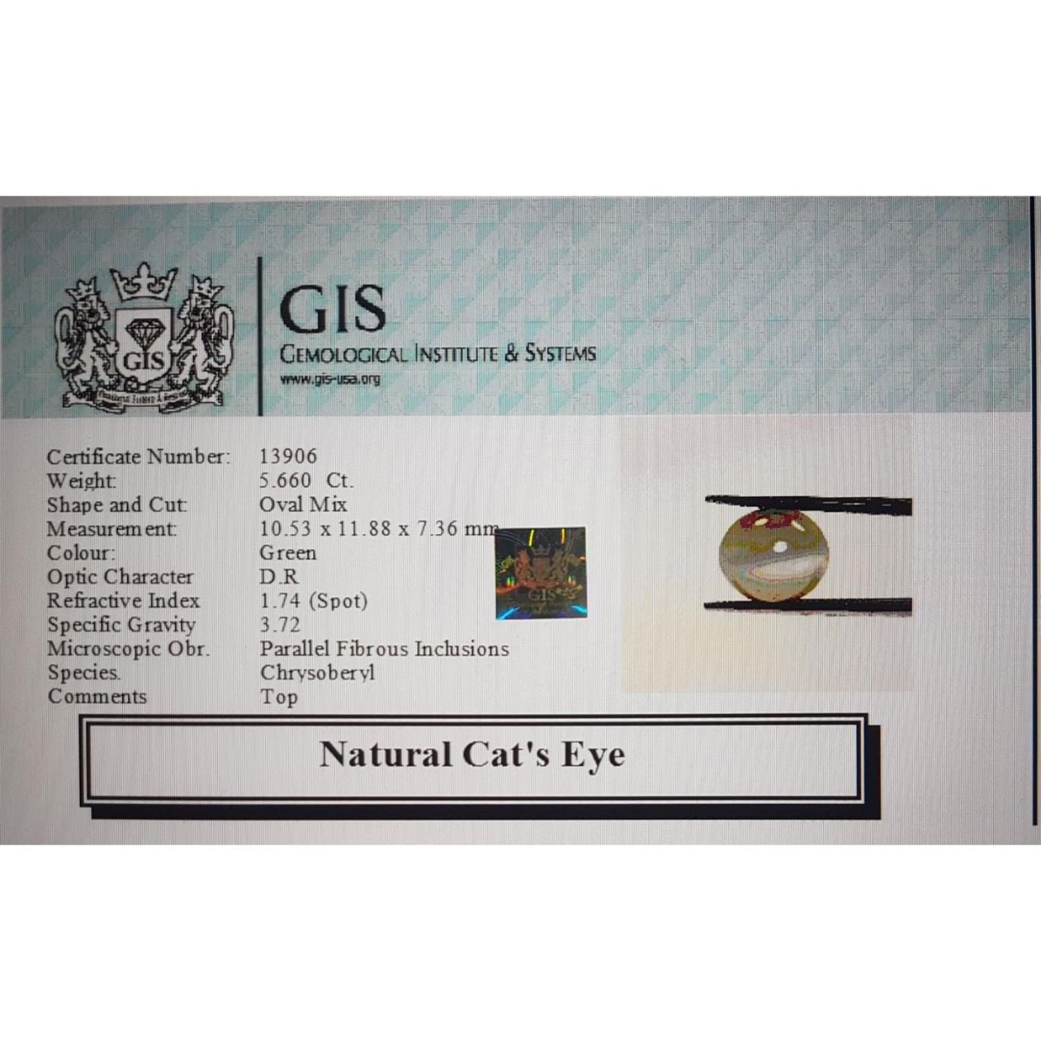 CE1498 4 Cat's Eye 5.66 Ct.