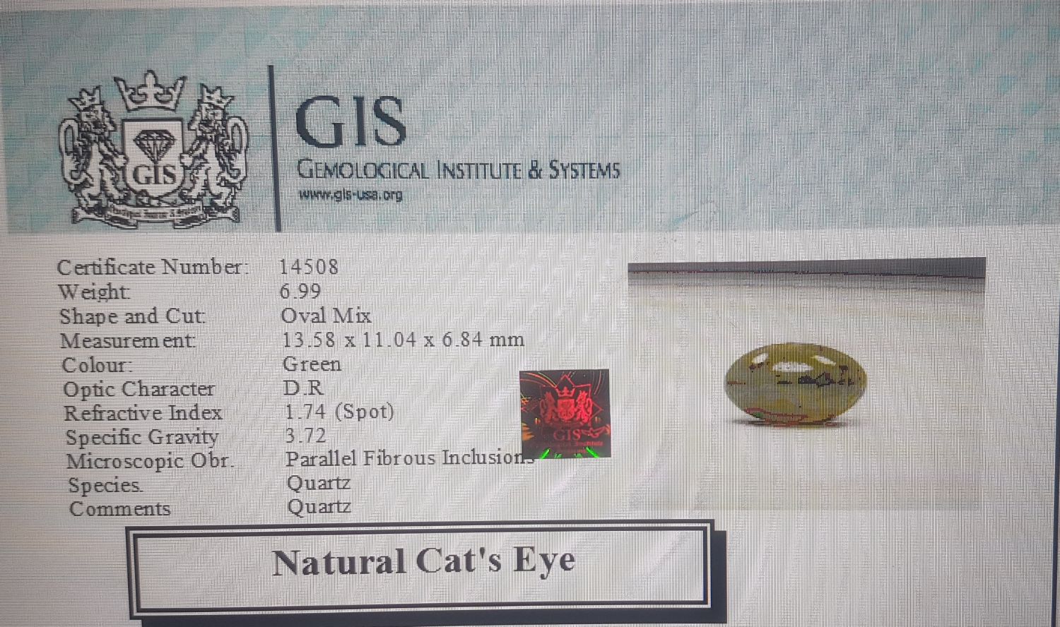 Cat's Eye 6.99 Ct.