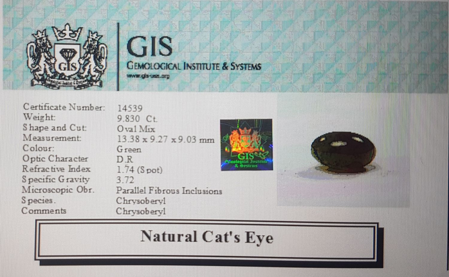 Cat's Eye 9.83 Ct.