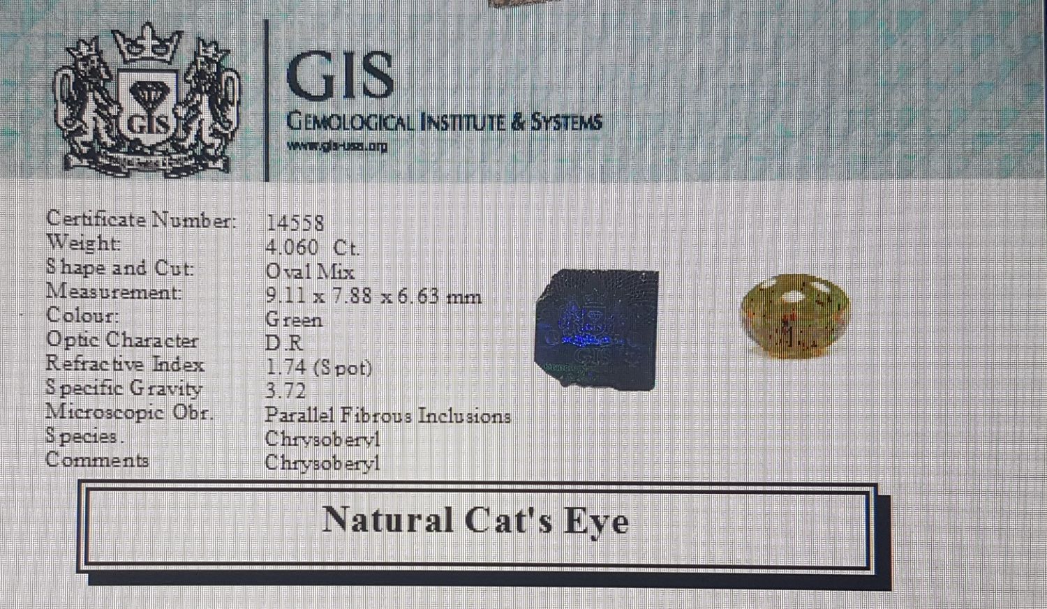 Cat's Eye 4.06 Ct.