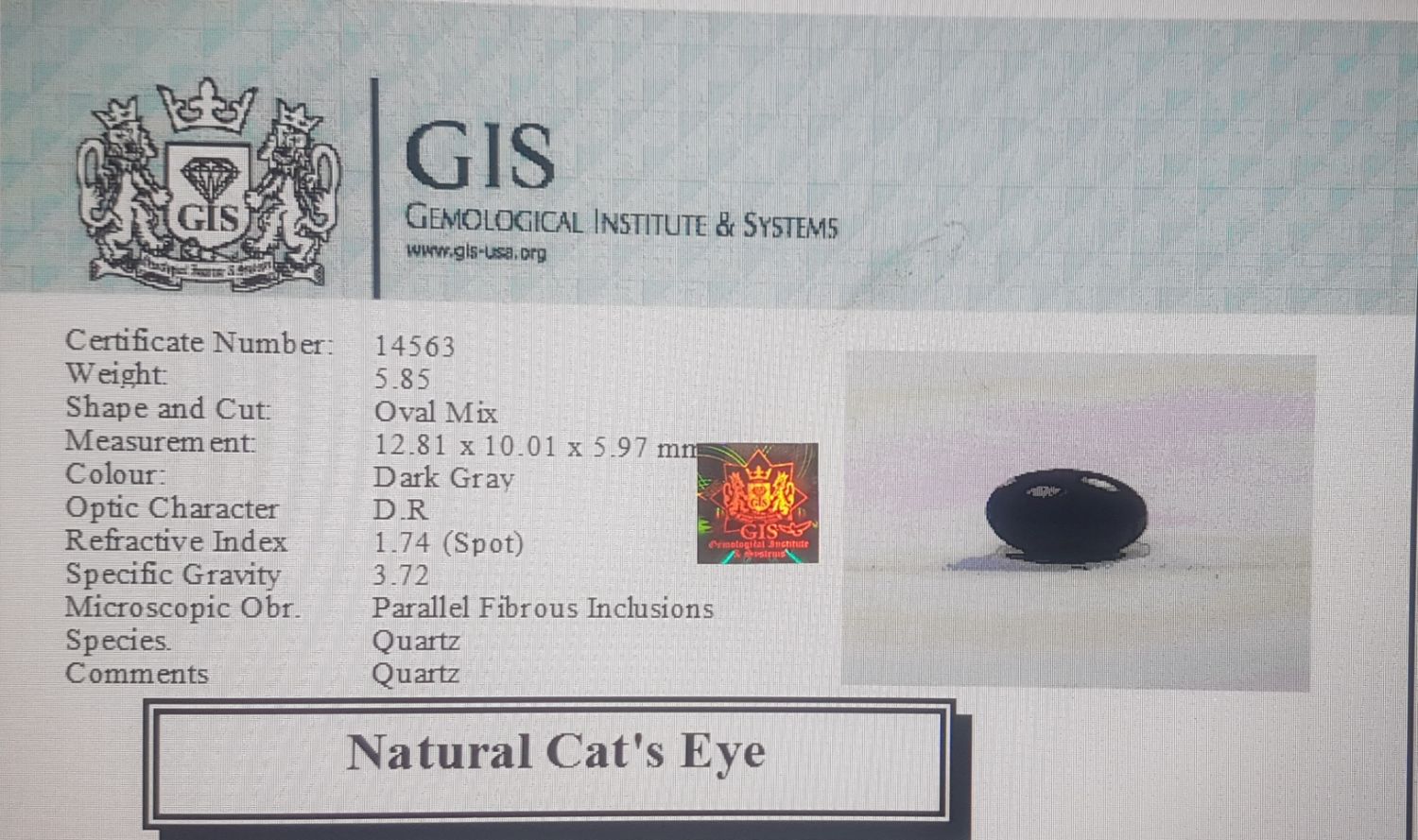 Cat's Eye 5.85 Ct.