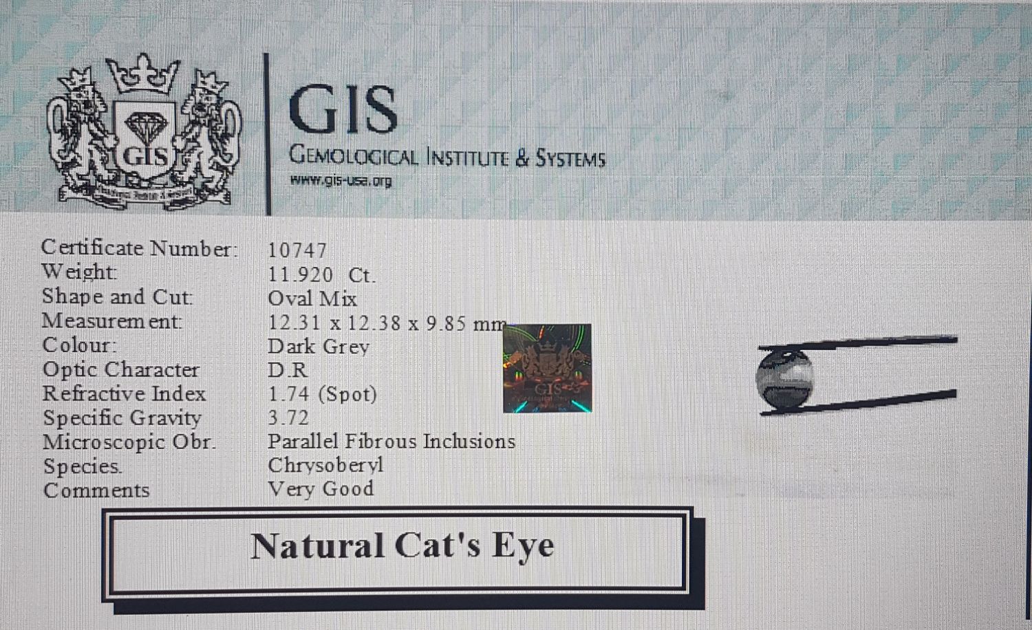 Cat's Eye 11.92 Ct.