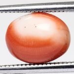 Coral 2.65 Ct.