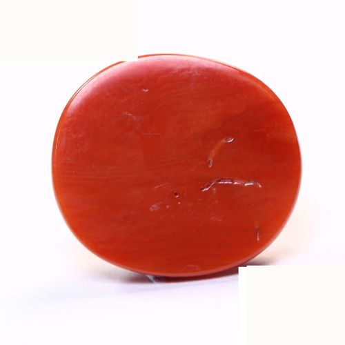 Natural Coral 15.51 Ct.