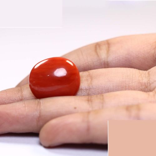 Natural Coral 15.51 Ct.