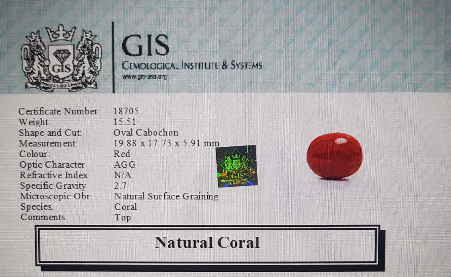 Natural Coral 15.51 Ct.