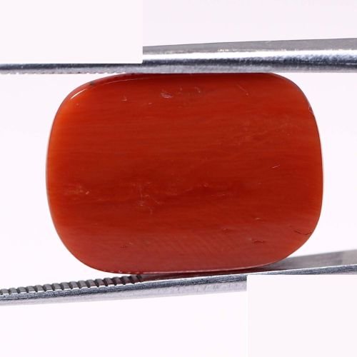 Natural Coral 15.86 Ct.